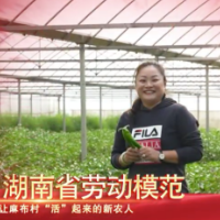 视频｜湖南省劳动模范钟瑛：让麻布村“活”起来的新农人