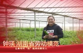 视频｜湖南省劳动模范钟瑛：让麻布村“活”起来的新农人