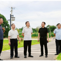 秧励带队深入市政协机关联点村调研乡村振兴工作