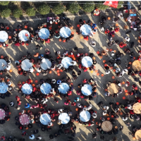 视频丨一场乡土邀约燃爆全网！超万人奔赴岳阳临湘庖牛宴