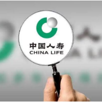 国寿寿险精准施策，为实体经济输送“金融活水” 