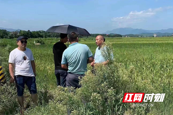 中华财险武冈市支公司全力做好农险查勘理赔工作