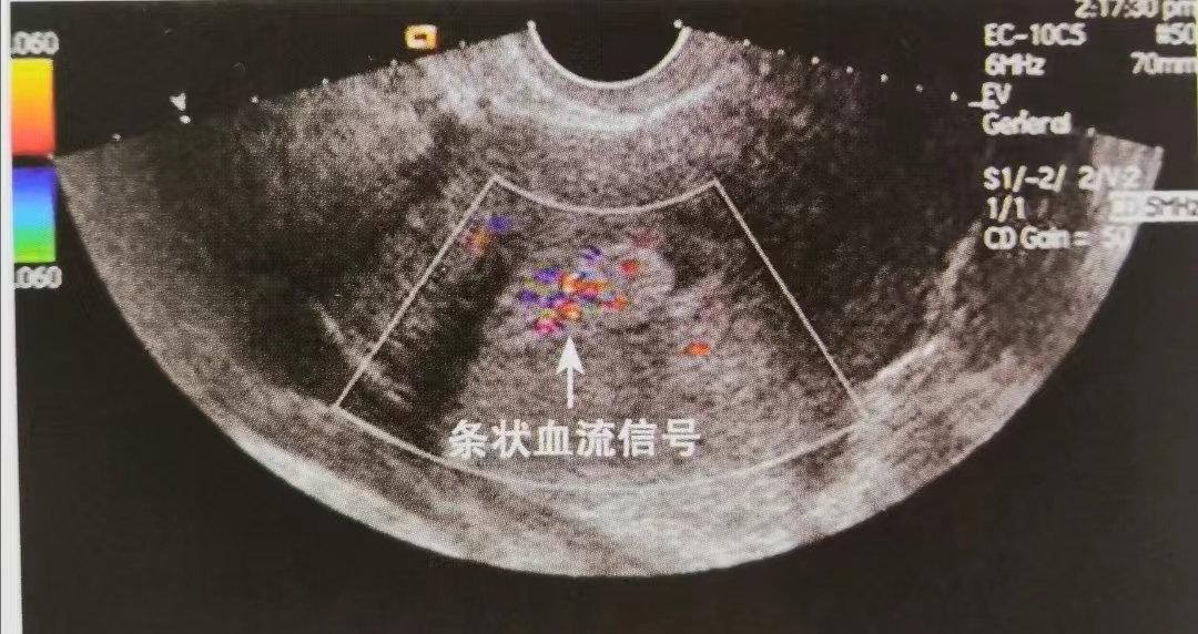 微信图片_20221125150834.png