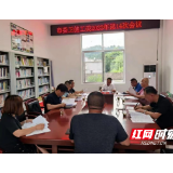 推进乡村振兴示范村建设工作 张家界市卫生健康委调研东旺坪村