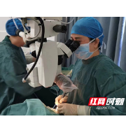 赤心竭诚为民 敢为行业先锋 ——记张家界市名中医谢琼