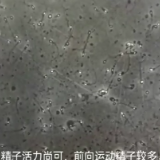 阳过后，你的精子还好吗？