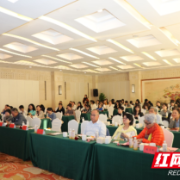 2023年湖南省医院协会临床心灵关怀管理专业委员会学术年会举行