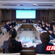 湖南省直中医医院党委召开2022年度民主生活会