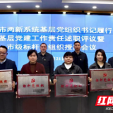 张家界仁康中医院党支部被授予市级“标杆党组织”称号