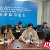 规范双胎管理 湖南省妇幼保健院创新工作室开启母胎医学系列病例讨论
