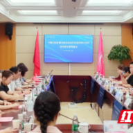 中国妇幼保健协会专家赴湖南省进行项目督导检查