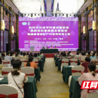 2023年湖南省1+N基层妇产科医师培训工程（衡阳站）召开