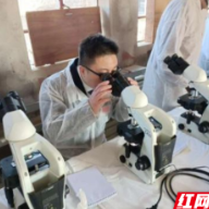 援非日记 | 中非血吸虫防控合作项目会议在津巴布韦举行