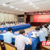 湖南省卫生健康委召开年轻干部沉浸式调研成果汇报会议