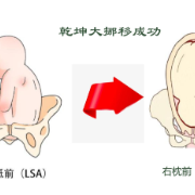 宝宝在妈妈肚皮里的神奇乾坤大挪移