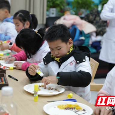 湖南省第二人民医院来了群“小小中药师”