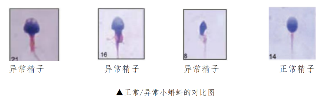微信图片_20250122152214.png