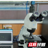 新一代精子DNA检测技术落地中信湘雅 AI精准识别“隐形损伤”