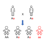 肌肉悄悄“断了电”？当心遗传“刺客”脊髓性肌萎缩症