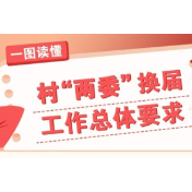 一图读懂 | 村“两委”换届工作总体要求