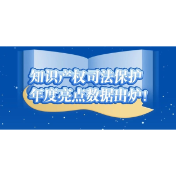知识产权司法保护年度亮点数据出炉！