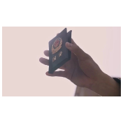 故意阻碍国安执法 严肃查处