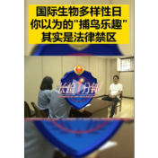 视频丨你以为的"捕鸟乐趣"，其实是法律禁区