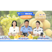 两“tao”相融话普法 惠农助农共发展——株洲与吐鲁番联合开展首场普法直播活动