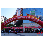 永兴县开展“3·15”国际消费者权益日集中宣传活动