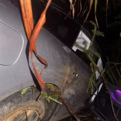 雨夜山中，有“热水”的温暖