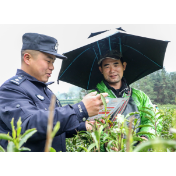 湖南保靖公安开展反诈宣传进茶园 筑牢茶农安全防线