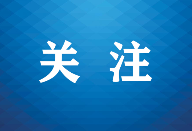 办事“一窗通” 纠纷“一站解” 湖南澧县法治政府建设的民生温度与实践智慧