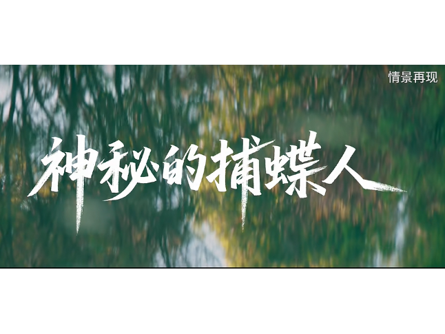 真实案例 | 外籍人员在我境内违规捕蝶，被钓鱼爱好者慧眼识破！