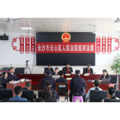 贪9400元毁一片土！生态庭审开进村委会，敲响护绿警钟！