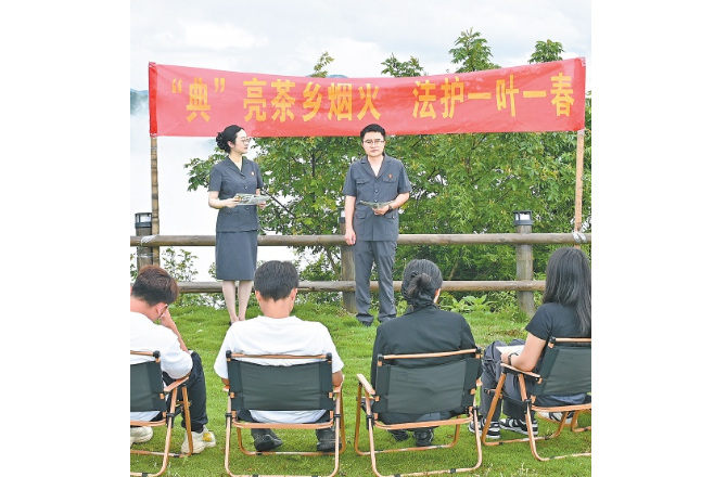 湖南衡阳市：法润茶香漫山野