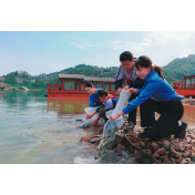 倾心“护苗” 全链条保护未成年人