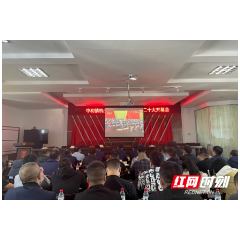 浏阳市中和镇干部群众积极收看二十大开幕会 共享“二十大时光”