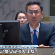 安理会就乌克兰局势举行会议，中方代表呼吁加大人道救援力度