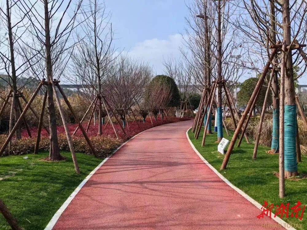 微信图片_20230303212511.jpg