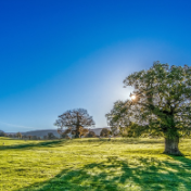 2023长江文明论坛将在重庆举行 华龙网联动12省区市媒体推出主题海报