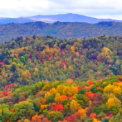 文化中国行丨金秋重阳 观红叶烂漫望辽阔山川