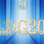 【众行致远】习言道｜一图读懂：G20有哪些国家？有何特点？