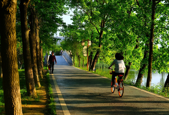 错过不能补缴！@灵活就业人员，请及时缴纳2024年度养老保险费
