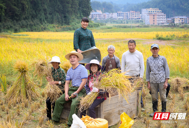 乡村追梦人丨阳凯波：当代版“陶渊明”圆了千万网友的田园梦