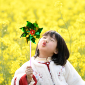 花开春意浓