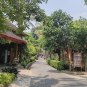 万千气象看云南 | 西双版纳多措并举强力打造现代化边境幸福村