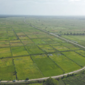 开展国际农业合作 共享农业发展机遇(镜头里的共建“一带一路”)