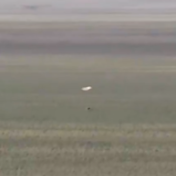 着陆成功！嫦娥六号平安回家 月球快递已送达