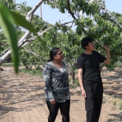 全球连线｜巴基斯坦青年：我在华北农村感受乡村之变