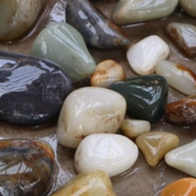 高质量发展“新”速度丨“小石头”成就“大产业”